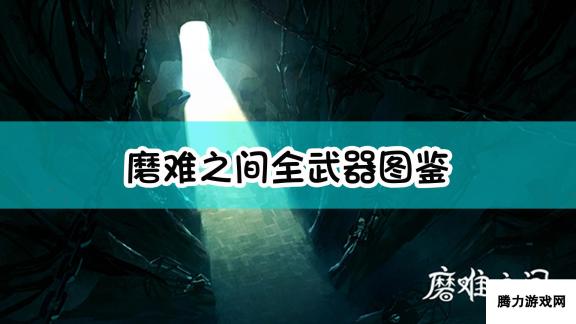 磨难之间：全武器深度解析与实战应用指南