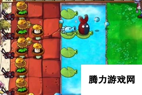 《植物大战僵尸杂交版》冒险模式第44关通关攻略