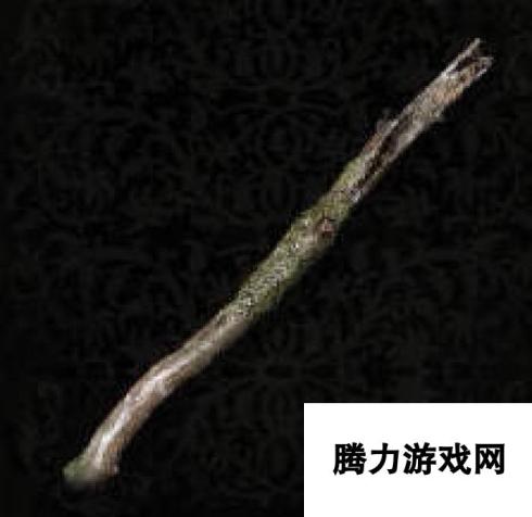 堕落之主武器解析 棍 隐藏属性与力量之道