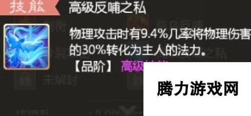 大话西游手游龙马飞升优点分析 热门攻宝宝对比