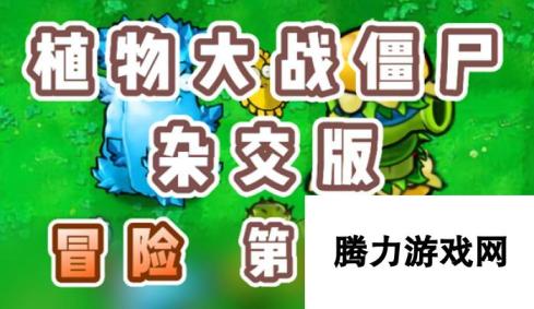 《植物大战僵尸杂交版》冒险第12关怎么过？