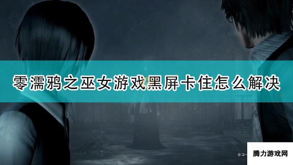 零 濡鸦之巫女 游戏黑屏卡住问题解决方案大揭秘