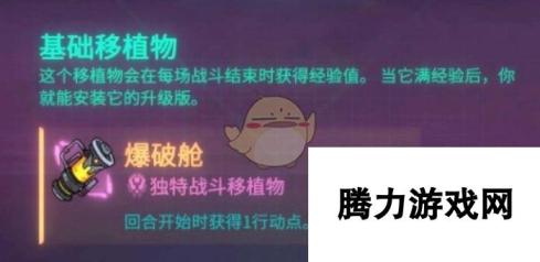 《欺诈之地》萨儿爆破仓介绍