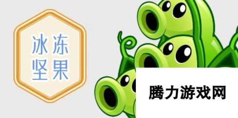 植物大战僵尸杂交版 冰冻坚果全面解析