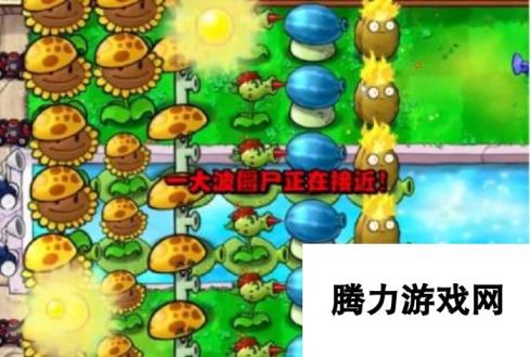 《植物大战僵尸杂交版》冒险模式第11关通关攻略