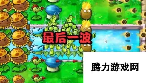 《植物大战僵尸杂交版》冒险14关植物推荐，通关攻略