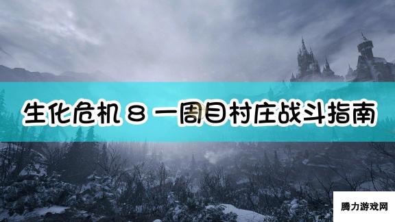 生化危机8：村庄一周目村庄战斗指南