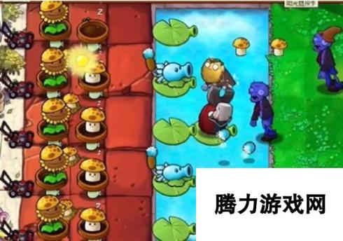 《植物大战僵尸杂交版》冒险43关图文通关技巧分享