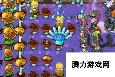 《植物大战僵尸杂交版》冒险10关植物放置方法，详细通关攻略