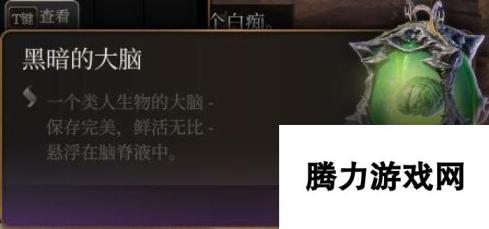 博德之门3序章能获得什么东西