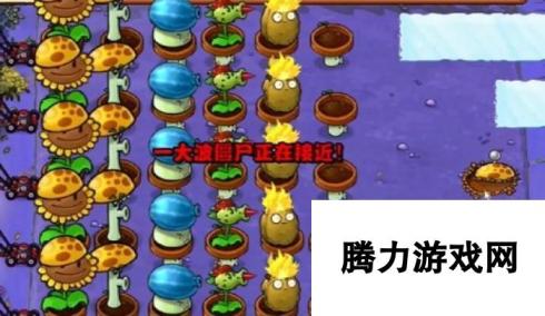 《植物大战僵尸杂交版》冒险10关植物放置方法，详细通关攻略