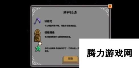 本站网5