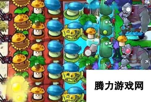 《植物大战僵尸杂交版》冒险43关图文通关技巧分享