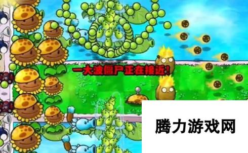 《植物大战僵尸杂交版》冒险15关图文通关技巧分享，植物位置放置推荐