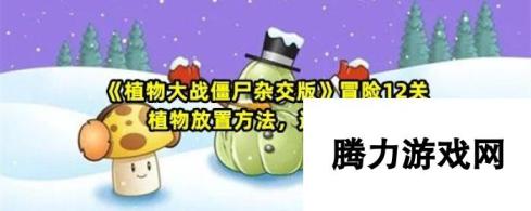 植物大战僵尸杂交版冒险12关植物放置攻略 通关秘籍及植物摆放技巧