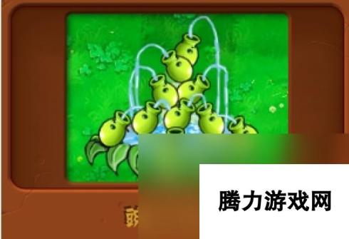 植物大战僵尸冒险模式豌豆许愿池怎么获得 一招搞定