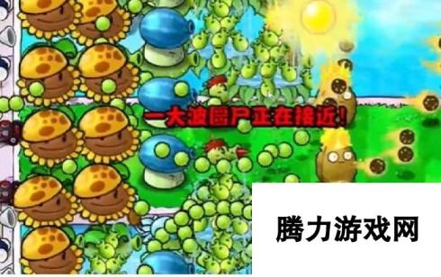 《植物大战僵尸杂交版》冒险15关图文通关技巧分享，植物位置放置推荐