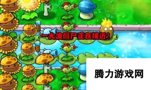 《植物大战僵尸杂交版》冒险12关植物放置方法，通关攻略