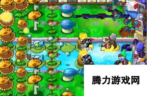 《植物大战僵尸杂交版》冒险12关植物放置方法，通关攻略