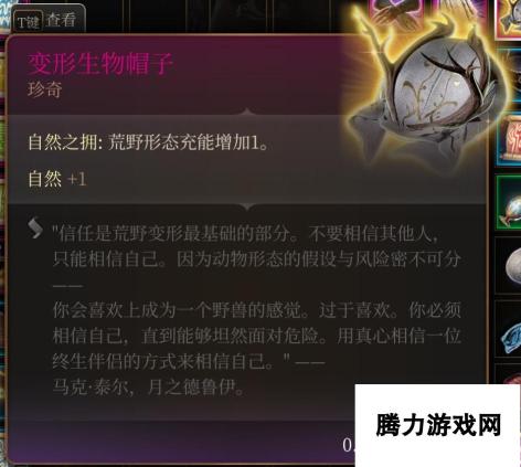 《博德之门3》魔网斗篷在哪里获得