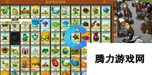 《植物大战僵尸杂交版》金卡植物获取方法