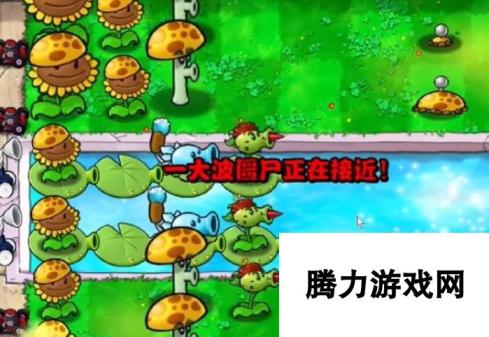 《植物大战僵尸杂交版》冒险12关植物放置方法，通关攻略