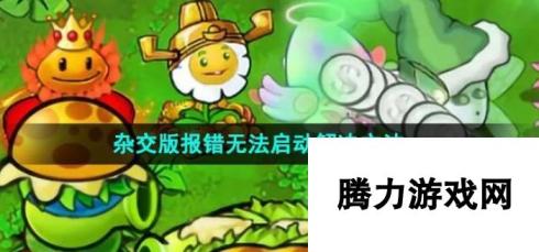 《植物大战僵尸杂交版》报错无法启动解决方法