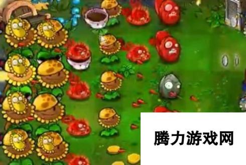 《植物大战僵尸杂交版》冒险51关植物选择，详细布局推荐