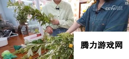 艾草价值翻倍 从“一季俏”到“四季青”的新时尚