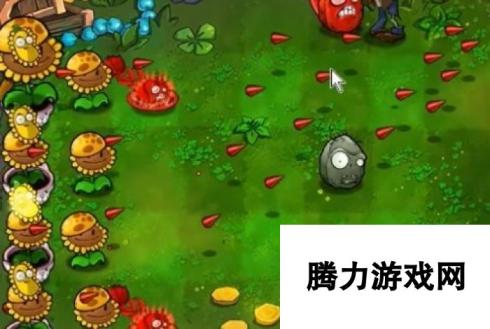 《植物大战僵尸杂交版》冒险51关植物选择，详细布局推荐