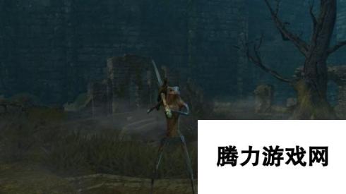 黑暗之魂MOD大神新成果：化身杂兵/NPC砍四方