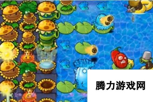 《植物大战僵尸杂交版》冒险65关图文通关技巧分享，植物位置放置推荐