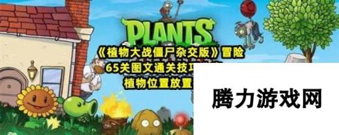 《植物大战僵尸杂交版》冒险65关图文通关技巧分享，植物位置放置推荐