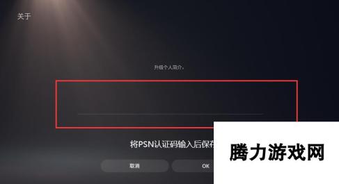 PSN认证教程