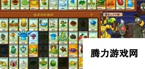 《植物大战僵尸杂交版》冒险65关图文通关技巧分享，植物位置放置推荐